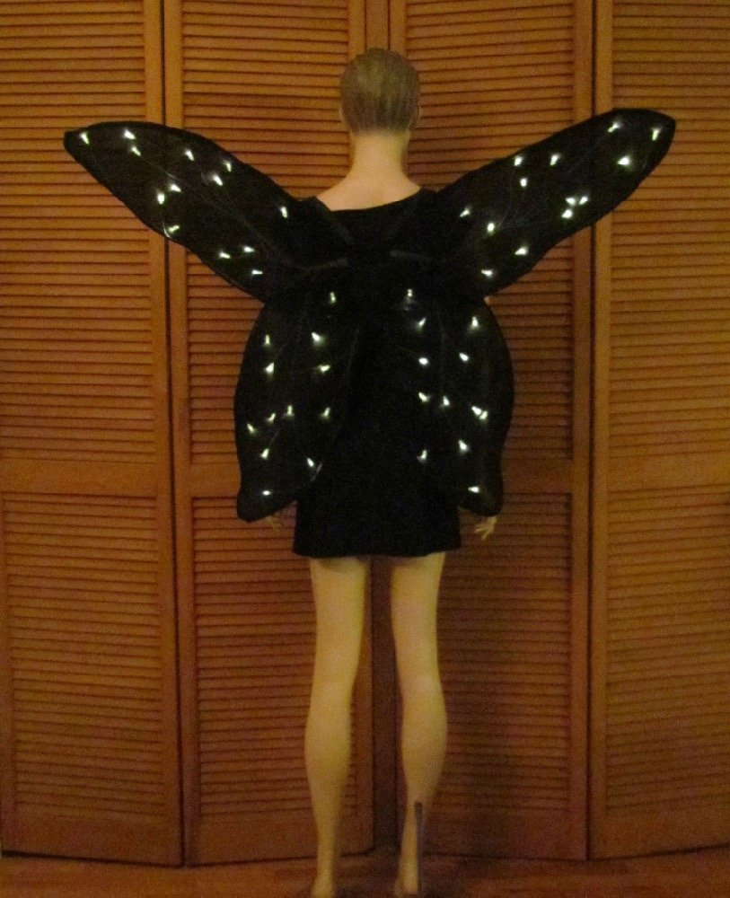 Black Dress and Wings