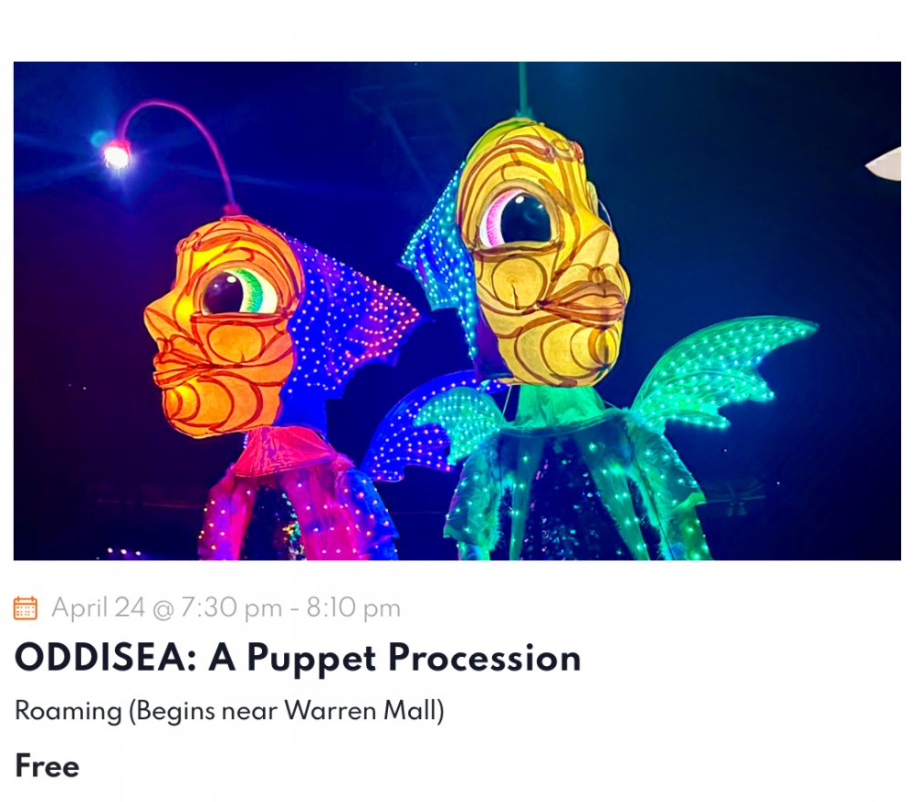 WOW Festival 2025