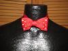 2011_red_bowtie_bright.jpg