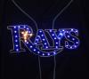 rays_IMG_3308.jpeg