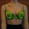 shamrock_mediumx600-3.jpg