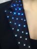 tailcoat_collar_blue_detail.jpg