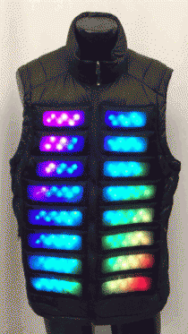 Enlighted Puffy Vest
